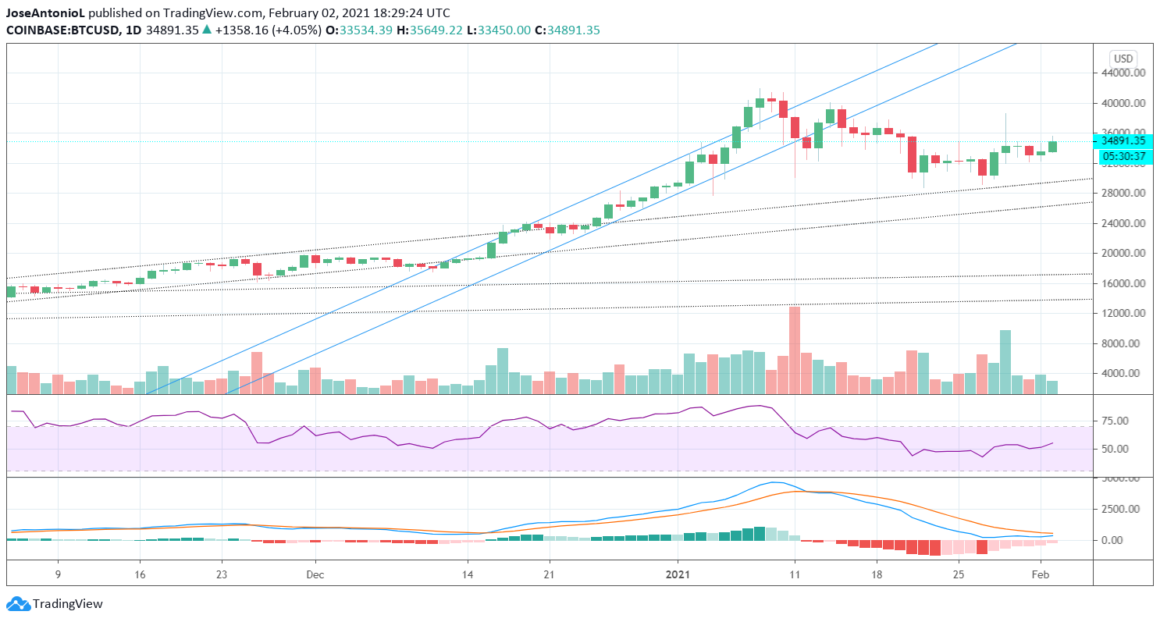 BTC TradeView