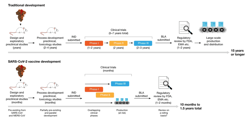 Vaccine trial and approval process