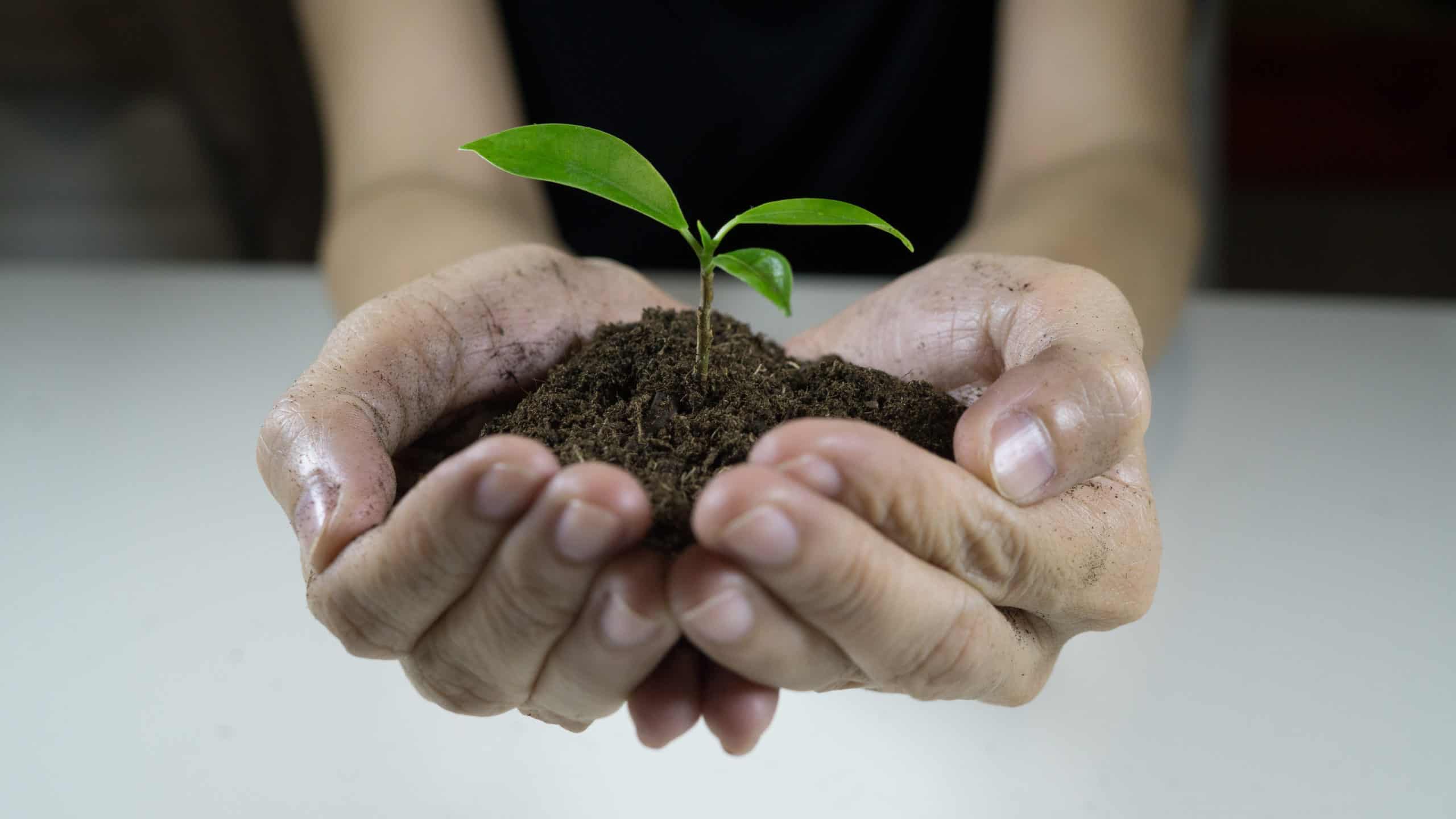 Saving earth hand holding soils and plant — twenty20 scaled