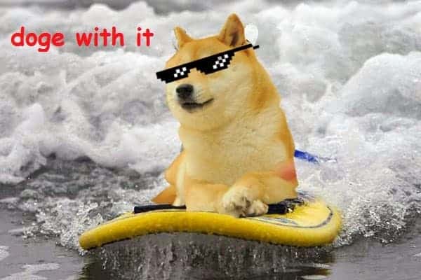 Doge with it Alison Groves