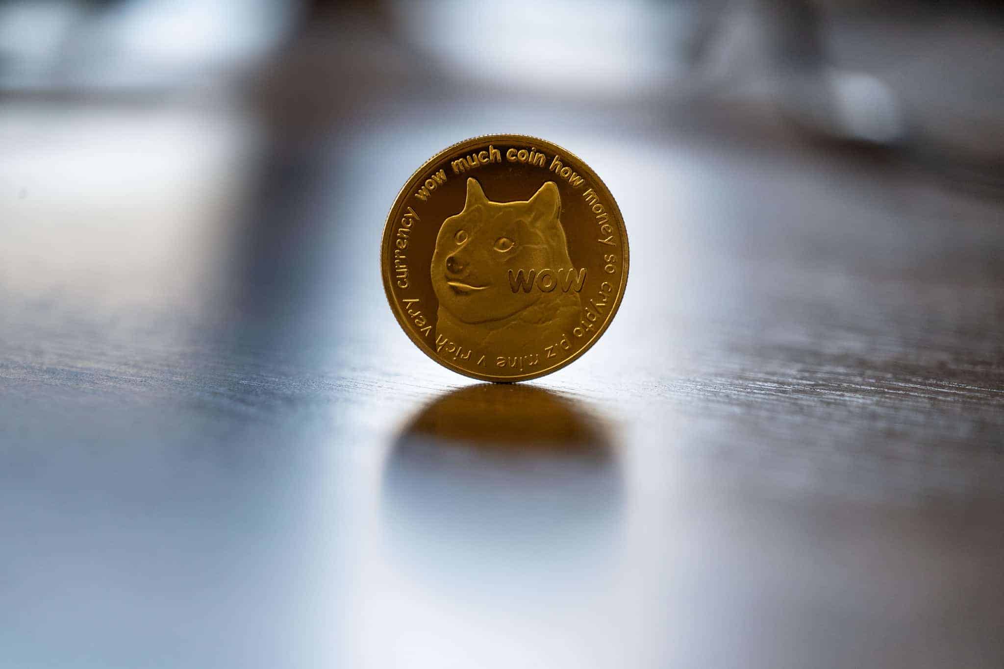 Dogecoin Forextime.com CC BY 2.0