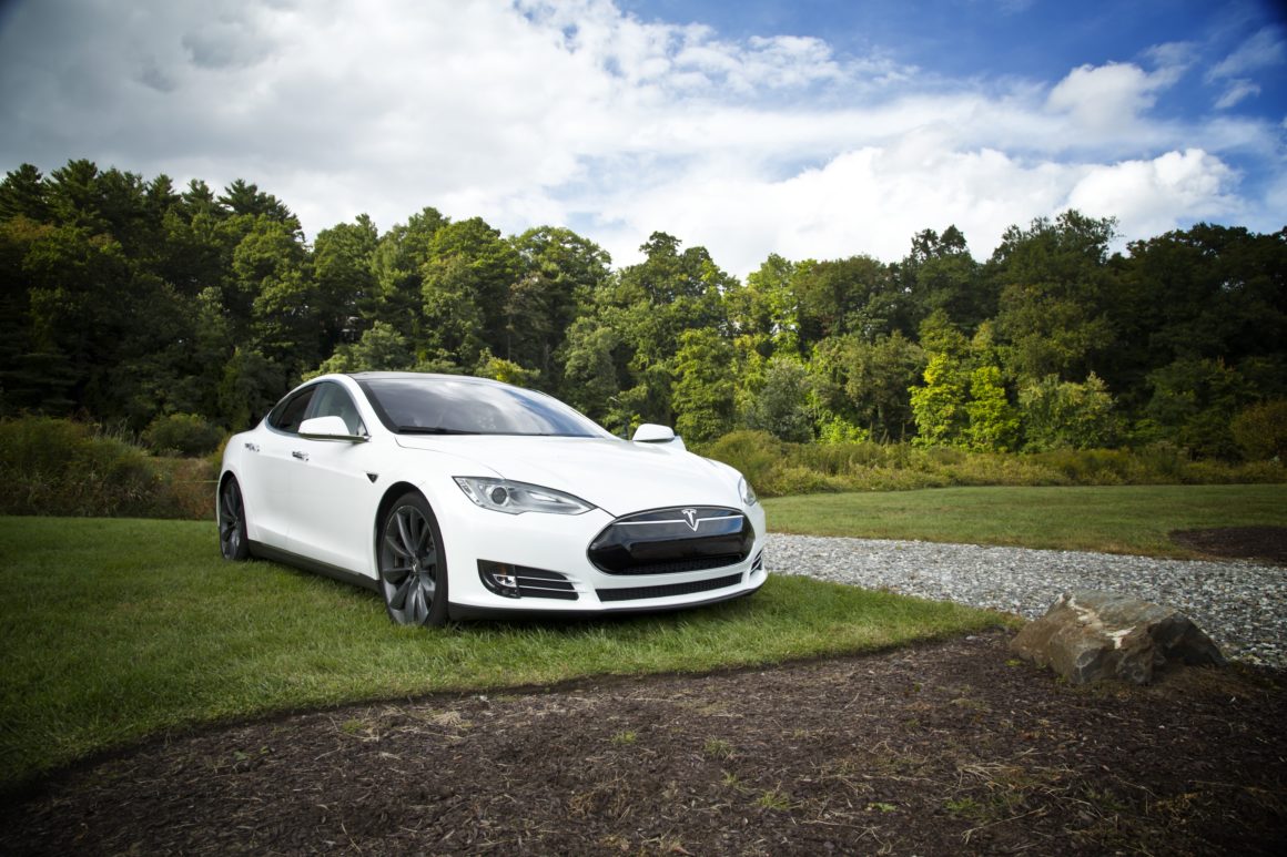 Tesla in the middle of the forest