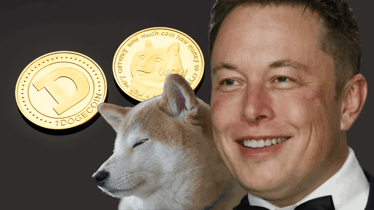 Elon Musk next to his dog Floki
