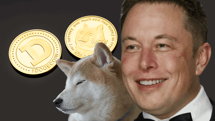 binance ceo elon musk