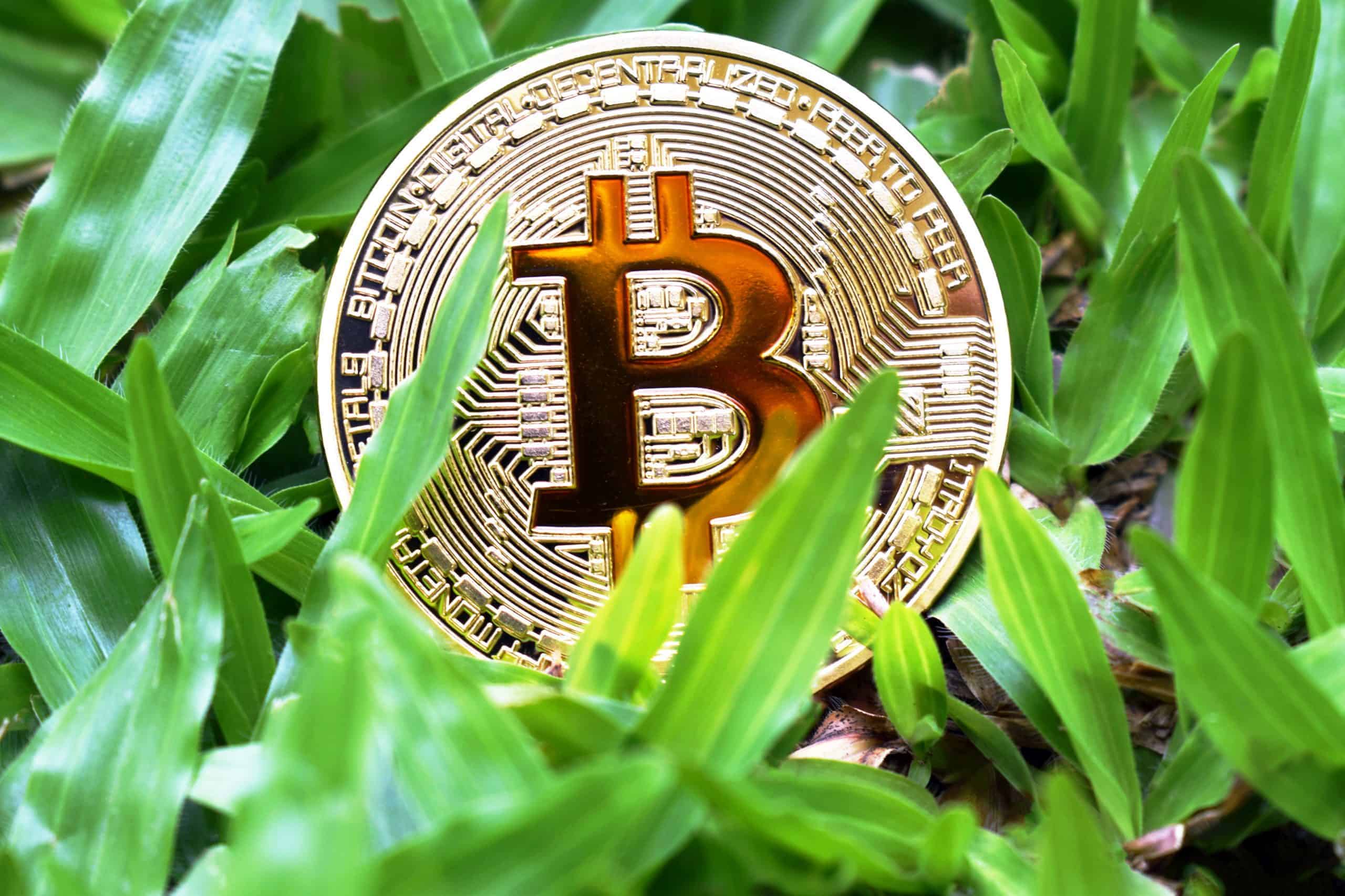 Australian crypto exchange Bitunivex plans to go green