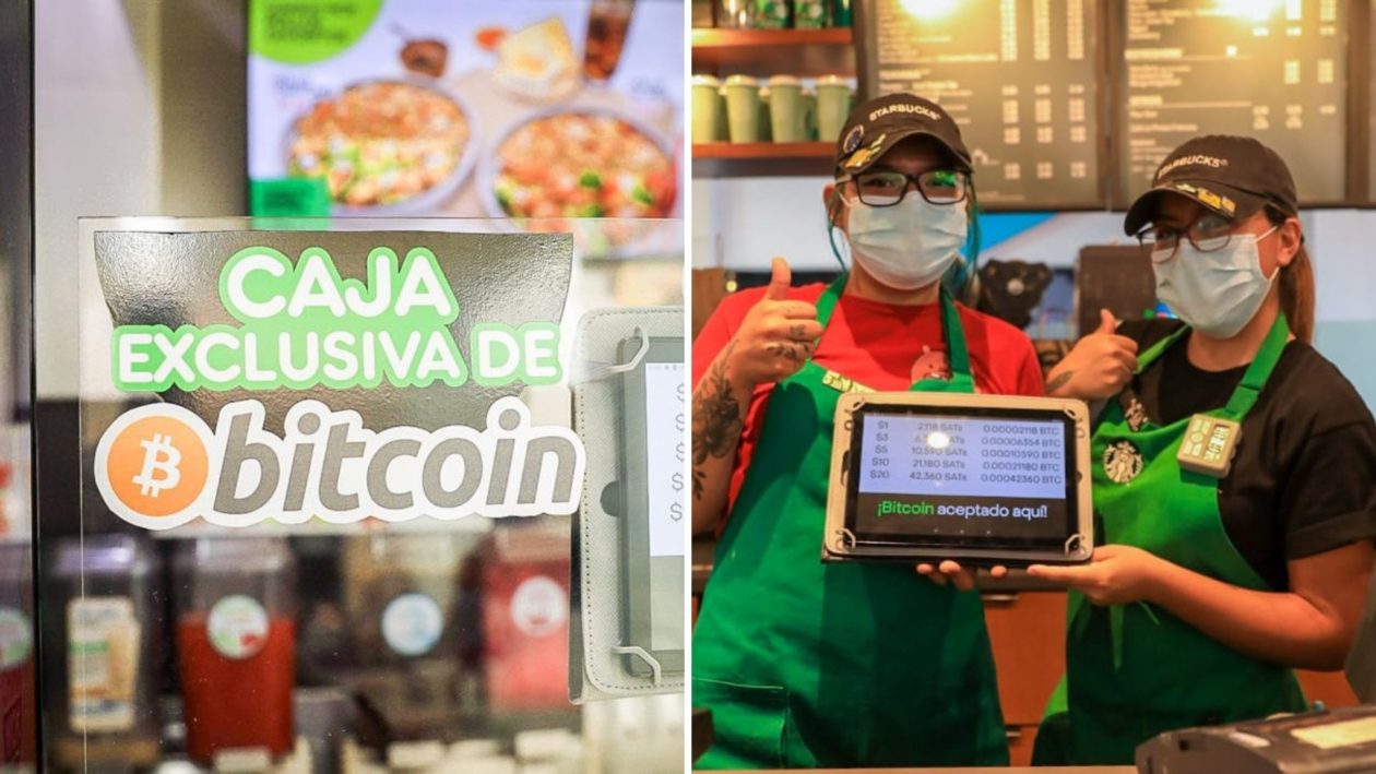 El Salvador 'buys The Dip' As Bitcoin Price Tumbles One Day After Adoption