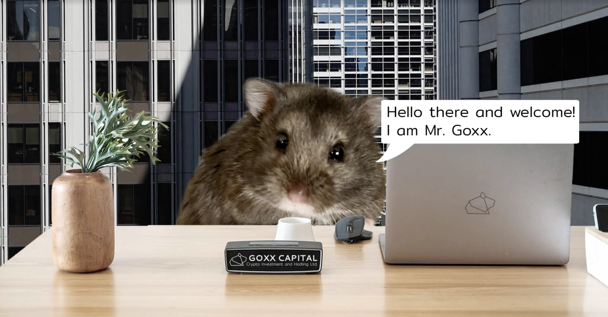 Crypto whale hamster. Mr goxx. Мистер Гокс хомяк. Хомячок трейдер. Крипто хомячок.