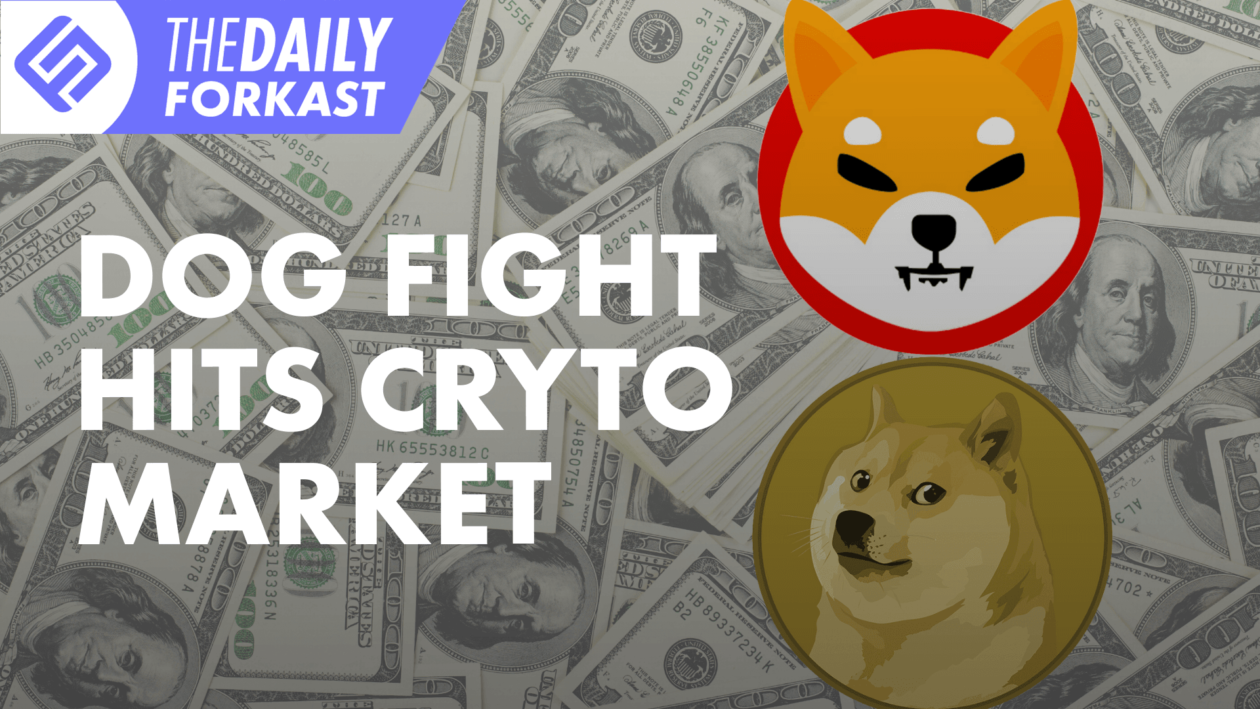 Dog Fight Hits Crypto Market