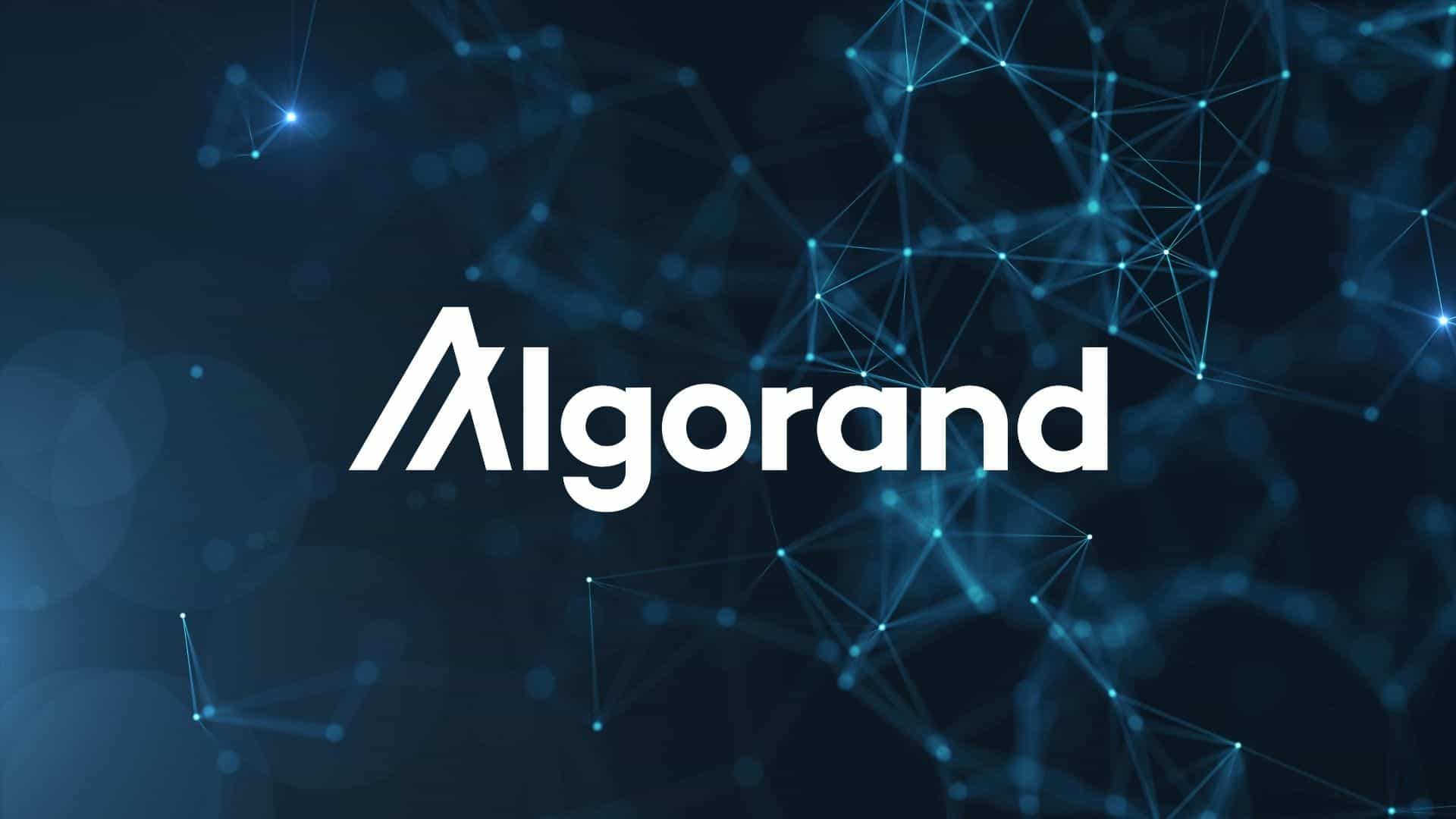 Algorand price soars over 50% to new two-year high
