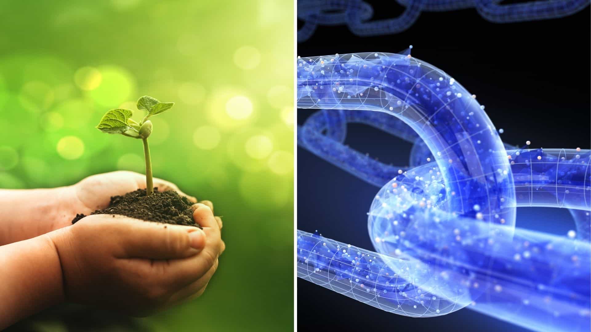 Solana: 1 transaction is less energy than 2 Google searches