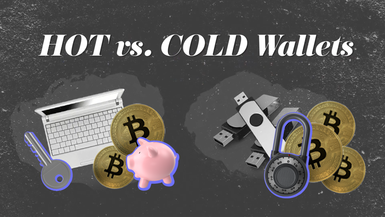 crypto wallet, cold wallet, hot wallet