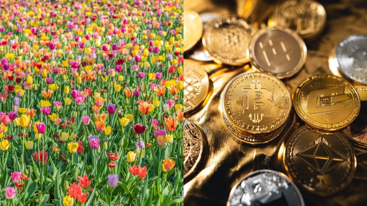 crypto tulip collage
