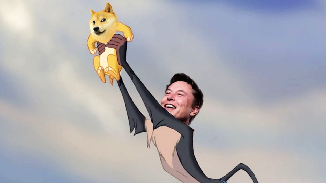 Elon Musk pumps life into Dogecoin amid lawsuit, Elon Musk holding up dogecoin in a satirical Lion King spoof. Musk posted the photo to his Twitter on Feb. 4, 2021.