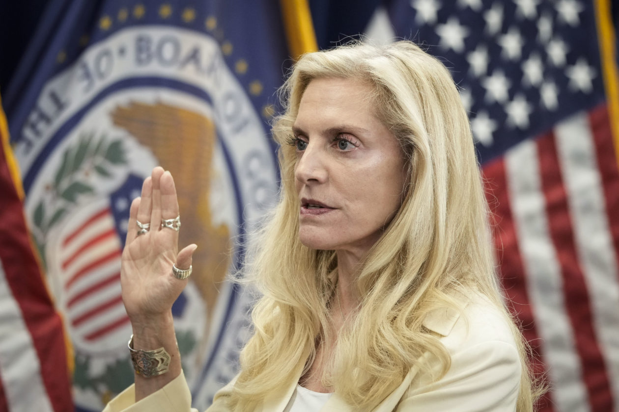 Vice Chair of the Federal Reserve Lael Brainard