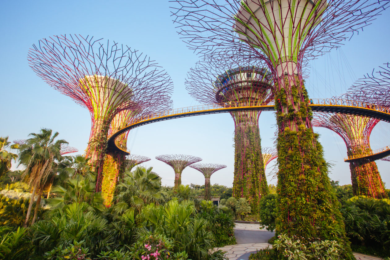 jardins de la baie à singapour