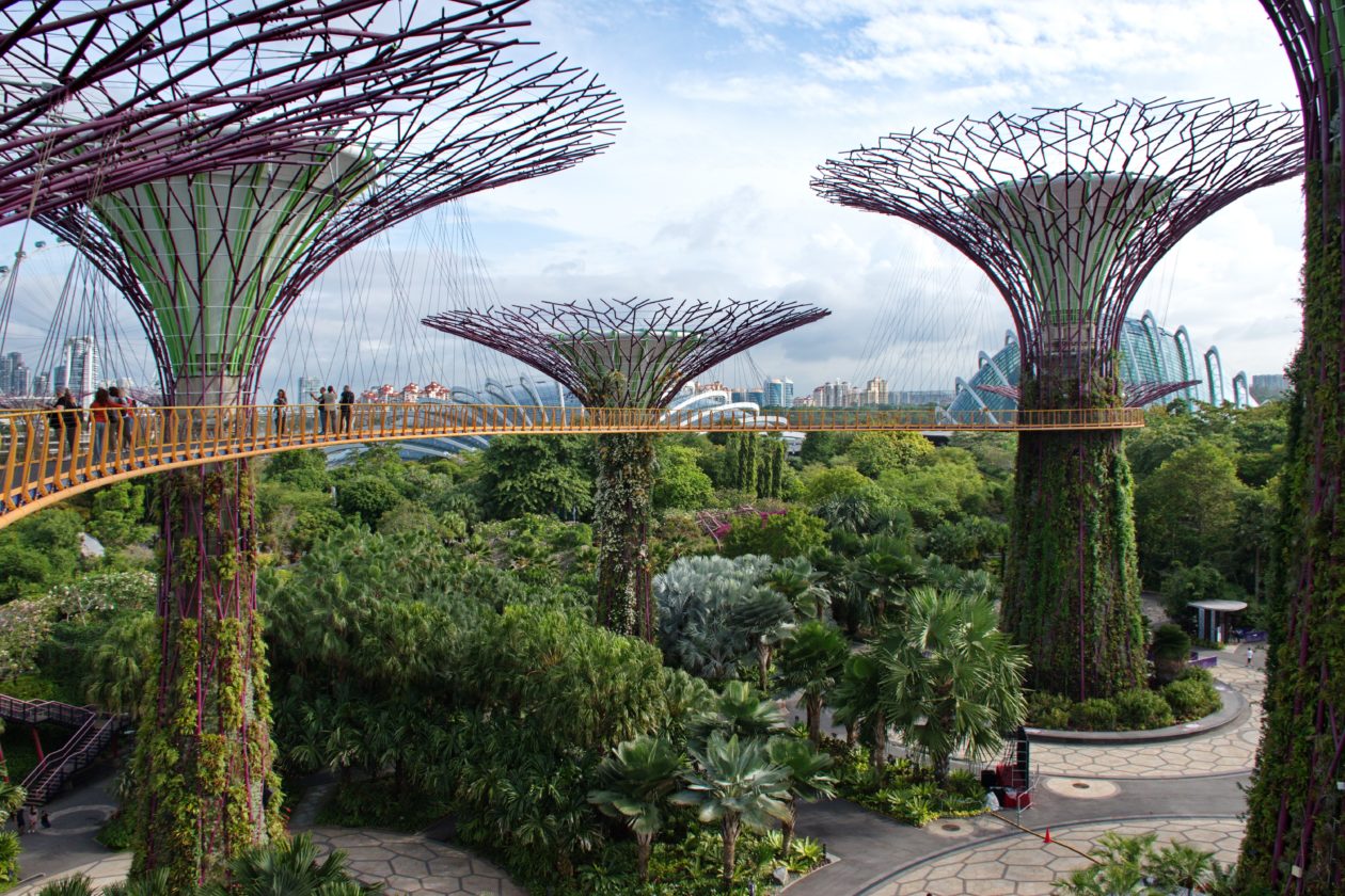 singapore5