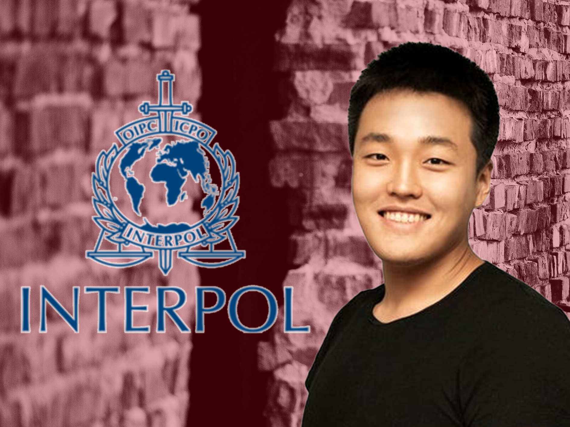 Interpol Investigates (TV Series 2004– ) - IMDb