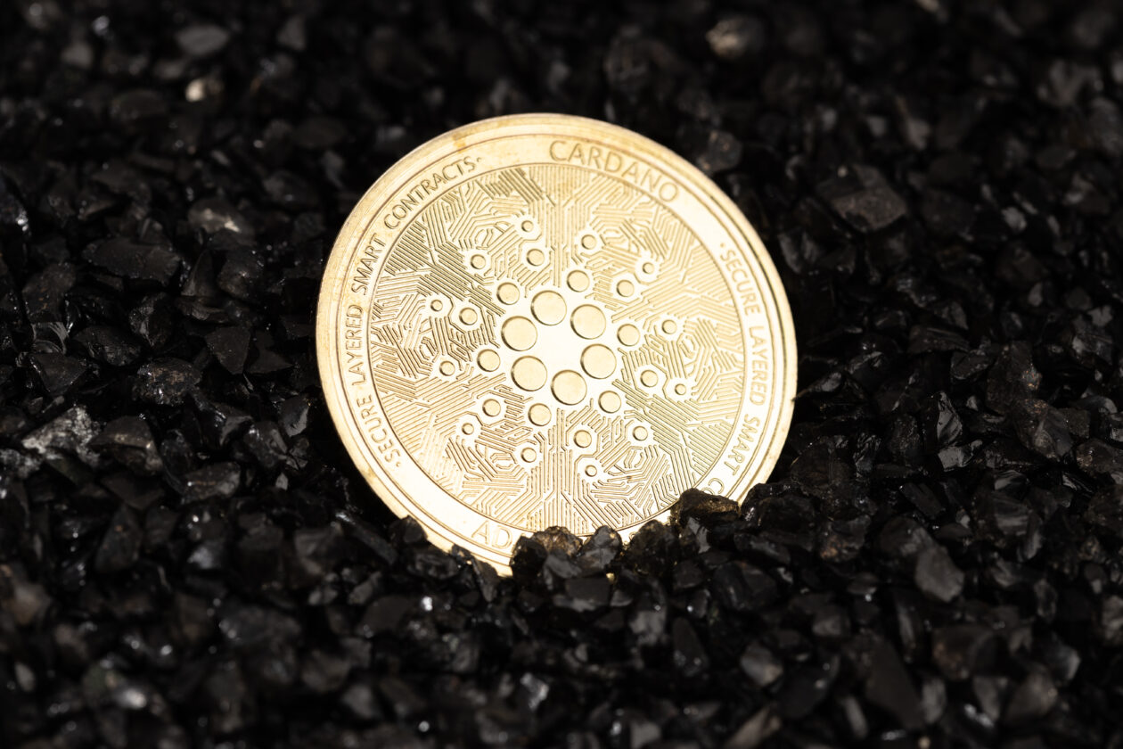 Cardano token sitting in black soil. | Input Output announces privacy-centric blockchain and token on Cardano