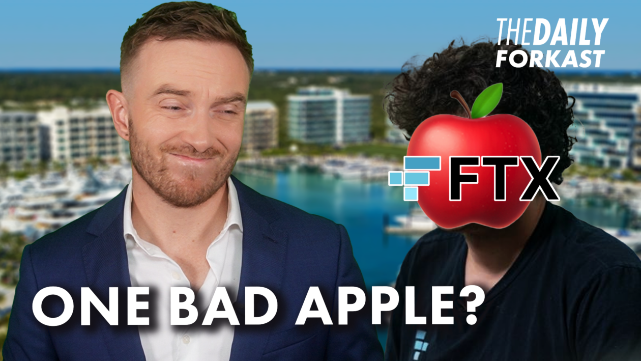 Who is to blame for FTX? The Daily Forkast