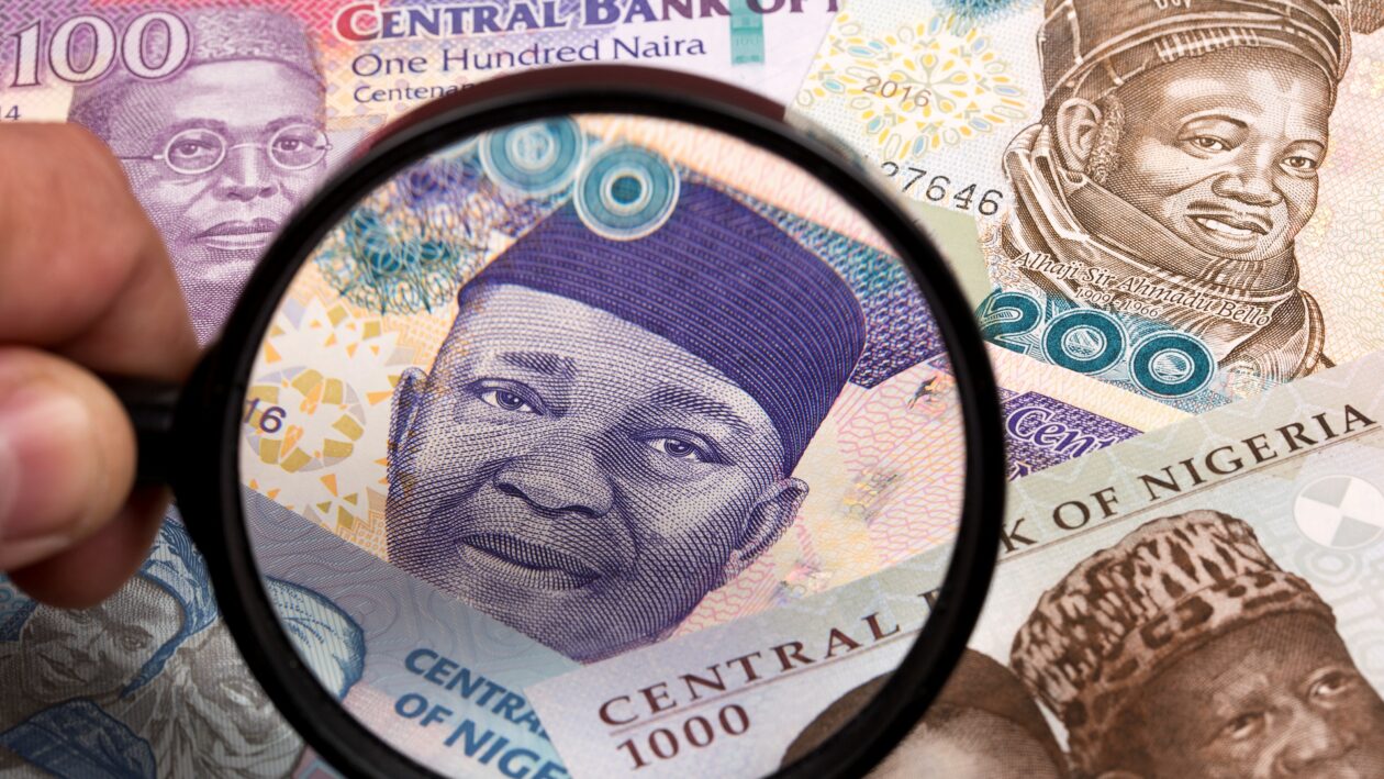 Nigerian money in a magnifying glass