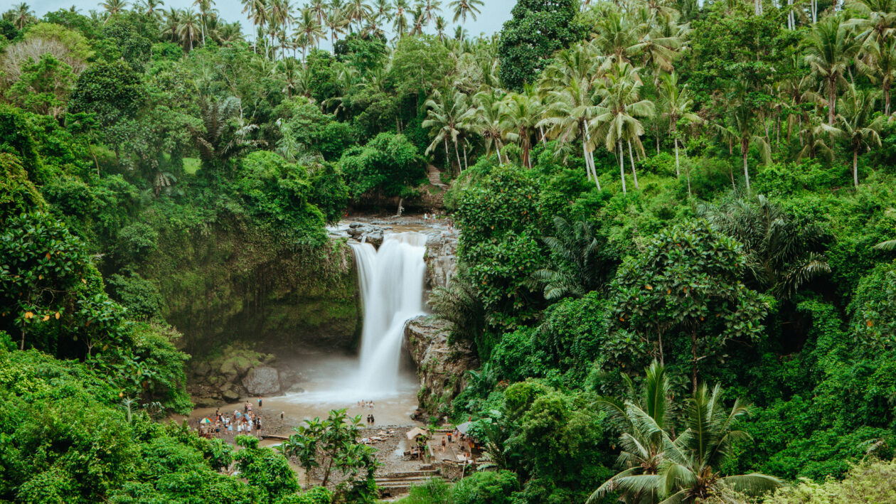 Crypto exchange Fasset hopes to win Indonesia license next month 3 indonesia2