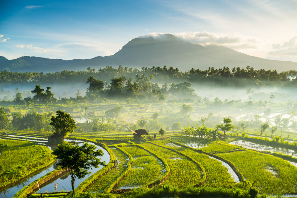 Crypto exchange Fasset hopes to win Indonesia license next month 4 indonesia5 2