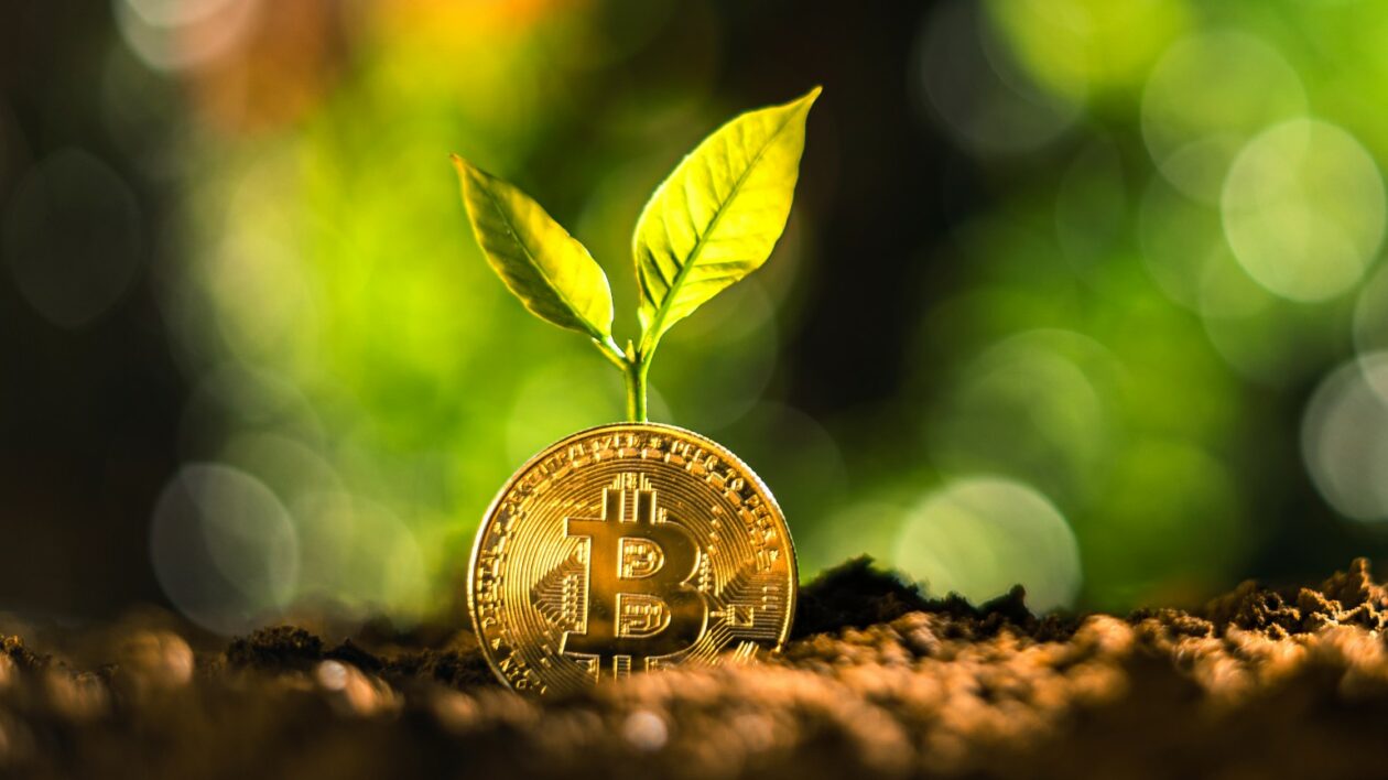 Bitcoin bud | Bitcoin to peak at US$42,000 in 2023, end the year above US$35,000: Finder survey | BTC - Bitcoin, Price, Bank